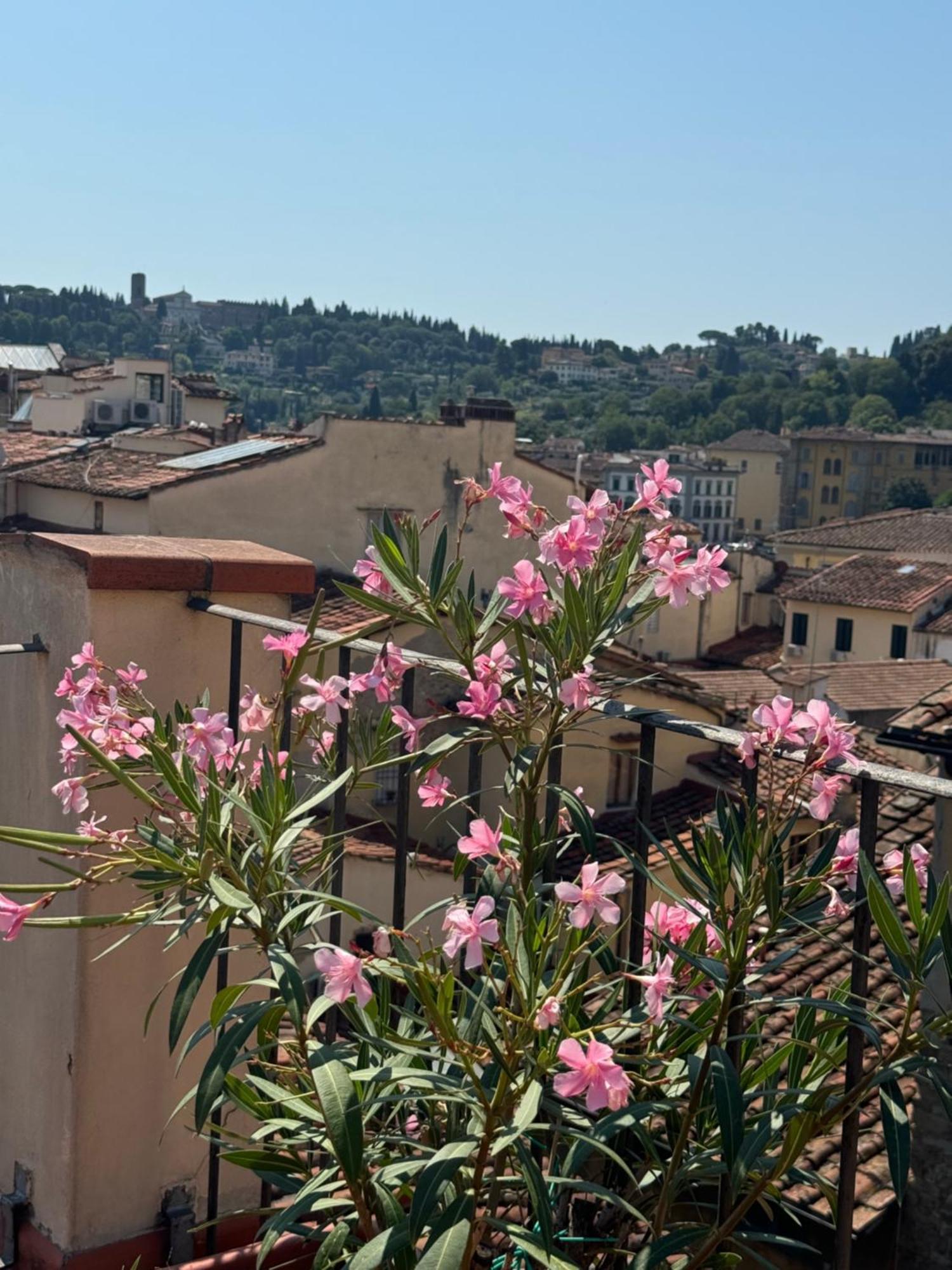 Firenze Panorama Suite & Terrace Dış mekan fotoğraf